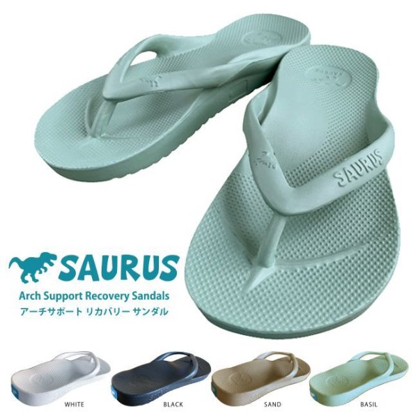 画像1: SAURUS(サウルス) / リカバリー ビーチサンダル (1)